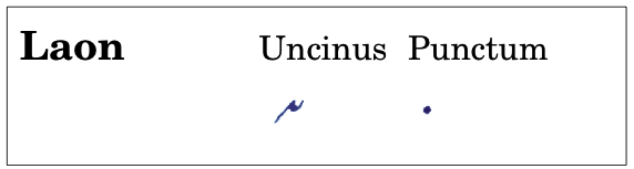 l_uncinus_punctum.png